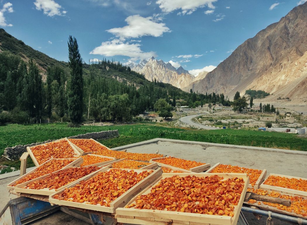 The Hunza People: Unraveling the Secrets of their Longevity – PIOskincare