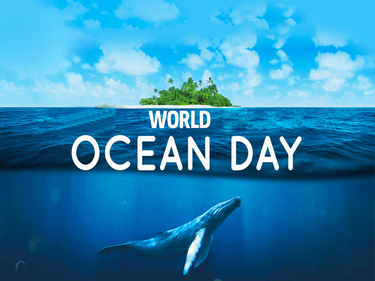 World Ocean Day 2025